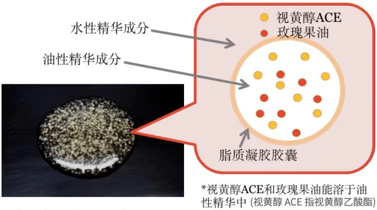 今天的6款抗老卷王天花板，N个顶流成分竟然加满了！