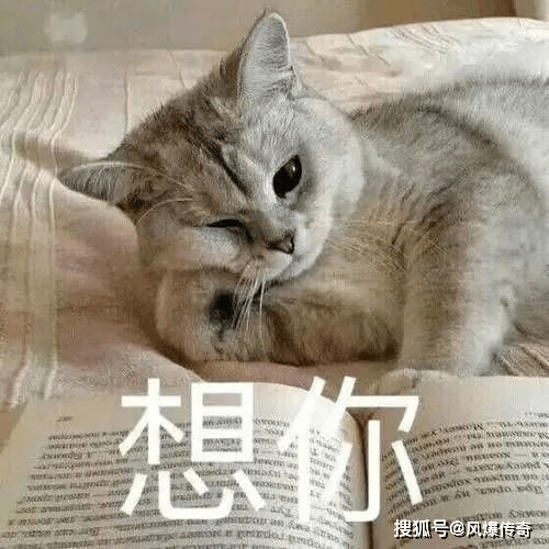 原始传奇手游《复古传奇》曾经风靡一时的六大重装，你了解多少？