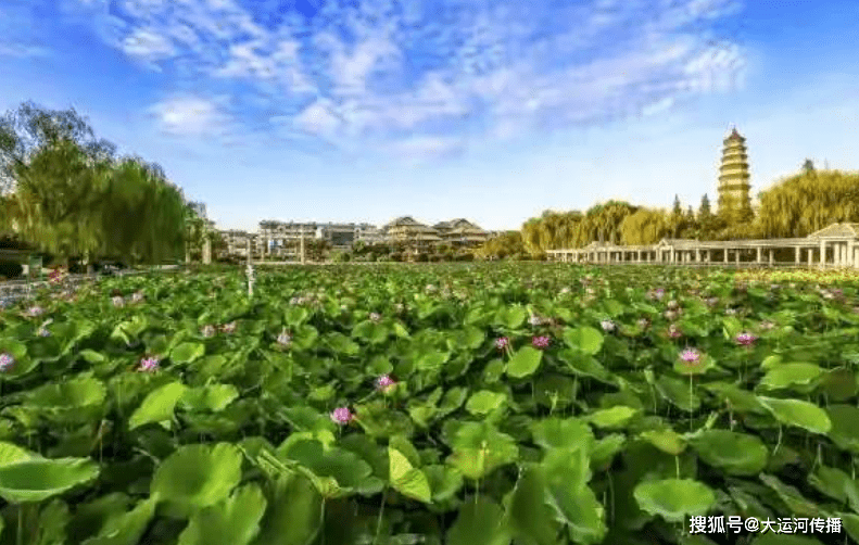 运河一品｜枣庄今缘春：甜美山泉 优良高粱 奇特老泥 包管了绵甜爽净的口感