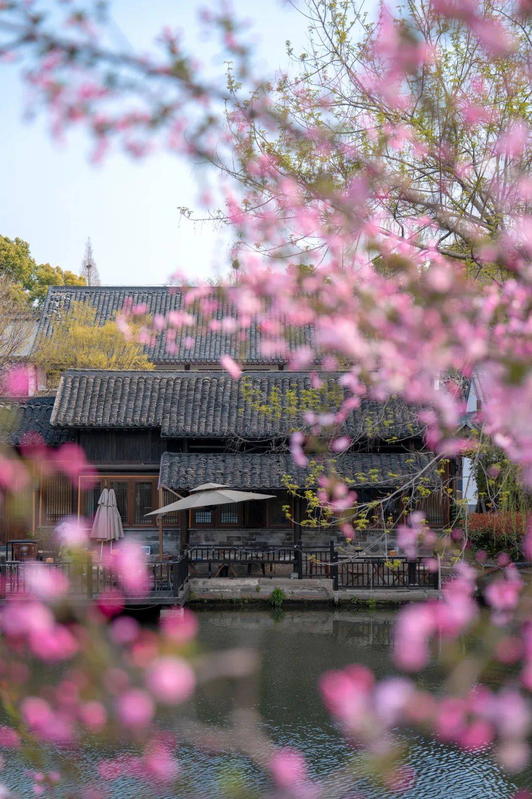 颐和十年万国春 | 日啖三餐、夜眠一榻，用那个国牌酒店串起春日金陵的美妙