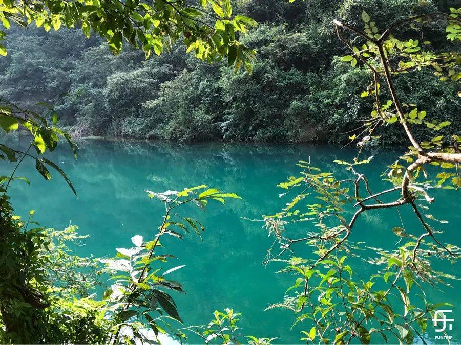 五一肇庆游｜叹酒店泡汤泉，打卡山川溶洞，品味甘旨杏花鸡！