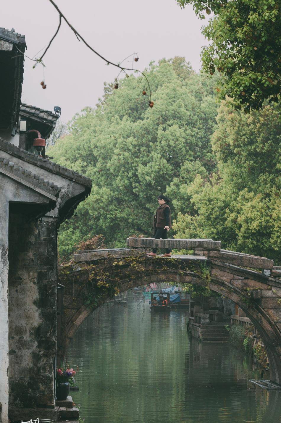 周庄漫行，原汁原味的梦里水乡，你是江南古镇中最诗意的阿谁