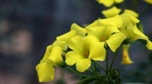 ���Ǯ���ƣ��������ң��������ȫ��Խ��Խ������Ĵ���Ф ...