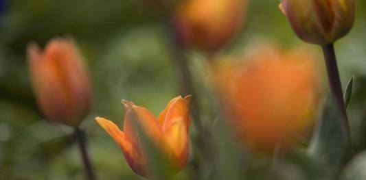 ���Ǯ���ƣ��������ң��������ȫ��Խ��Խ������Ĵ���Ф ...