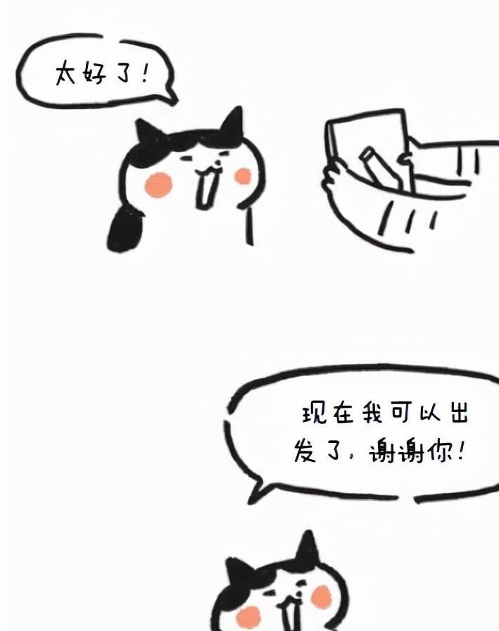 猫咪奇葩说：小猫咪的美陈旧见解，丑的却是各有所长