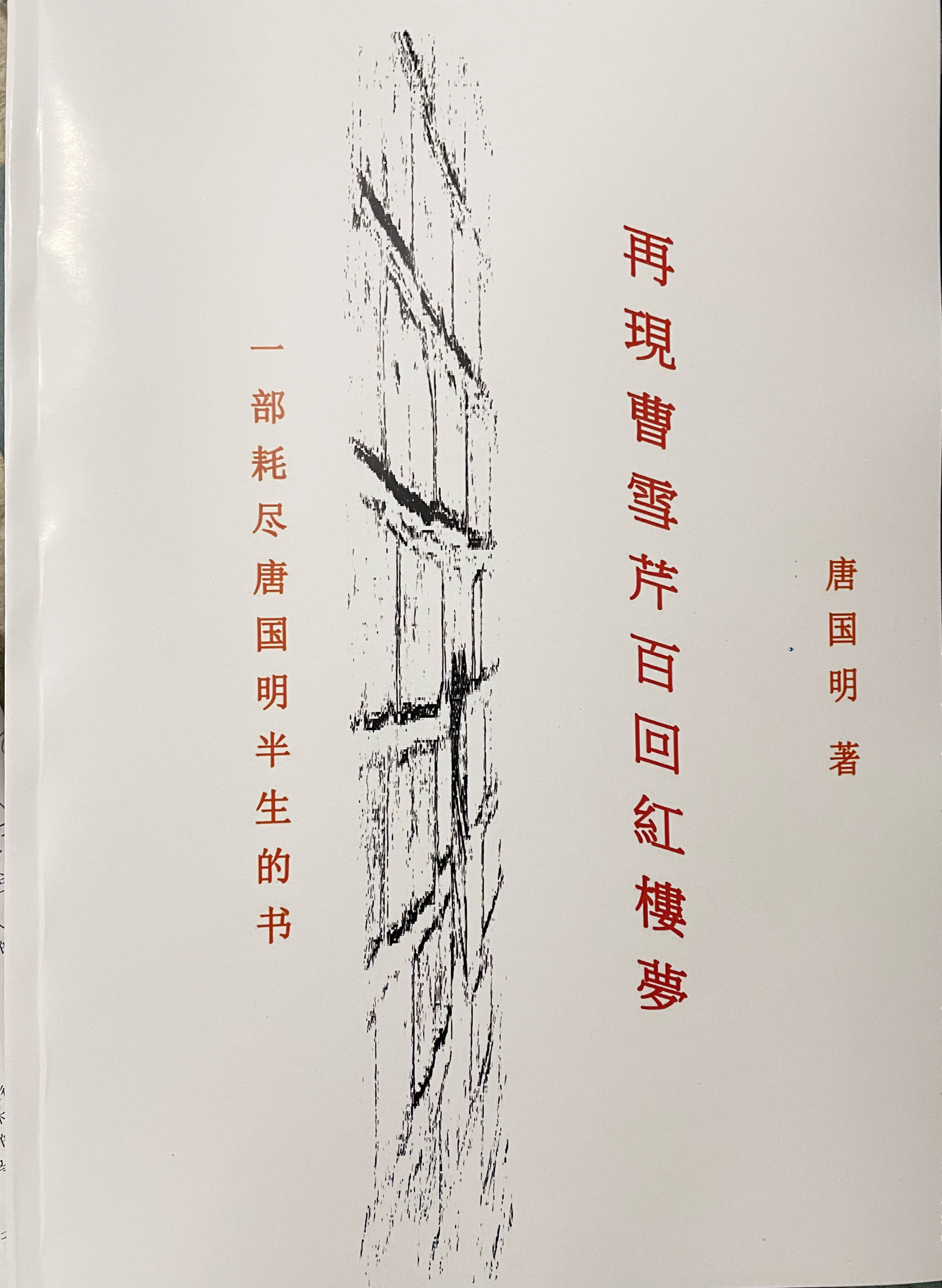 家已被拆进了一个四处随我奔驰的游览箱——出名做家唐国明中途主义鹅毛诗14首