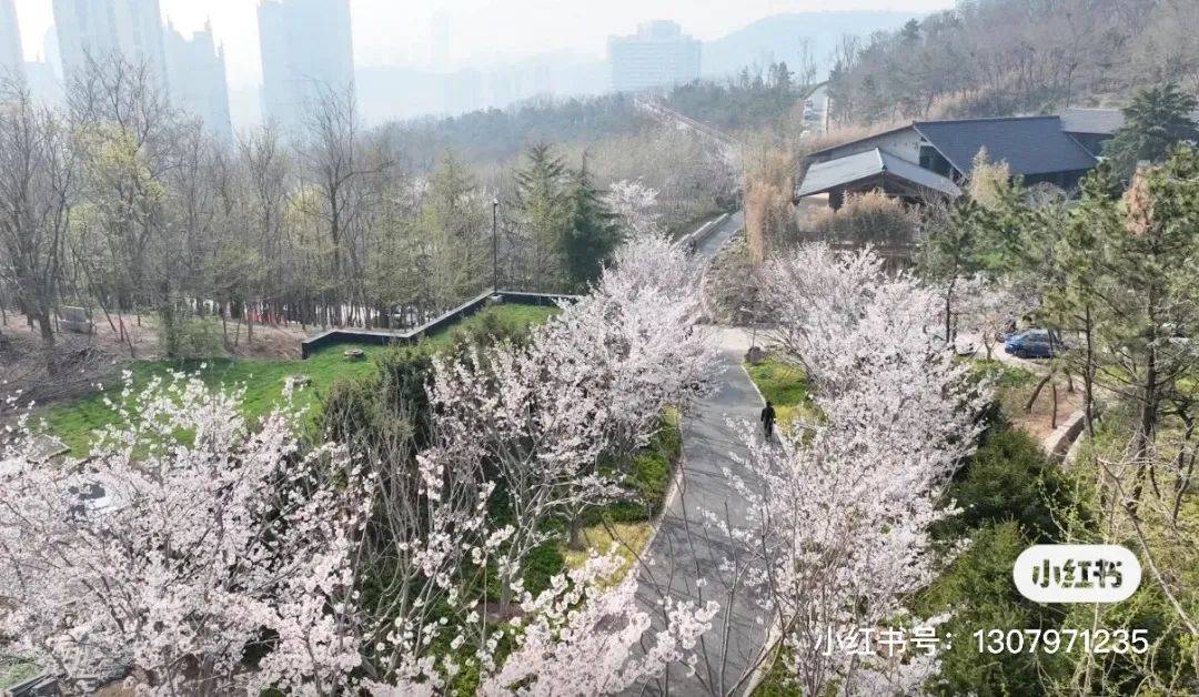 打工人治愈指南！市北「春日野餐图鉴」送上～