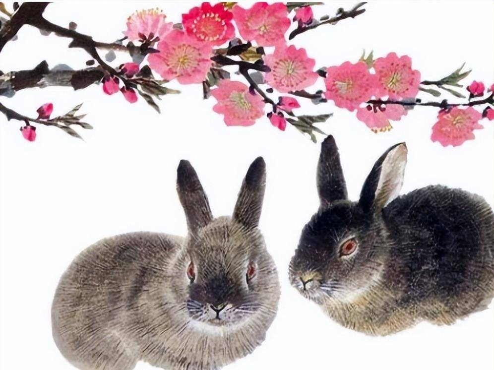 企足而待是什么生肖，独家解析落实