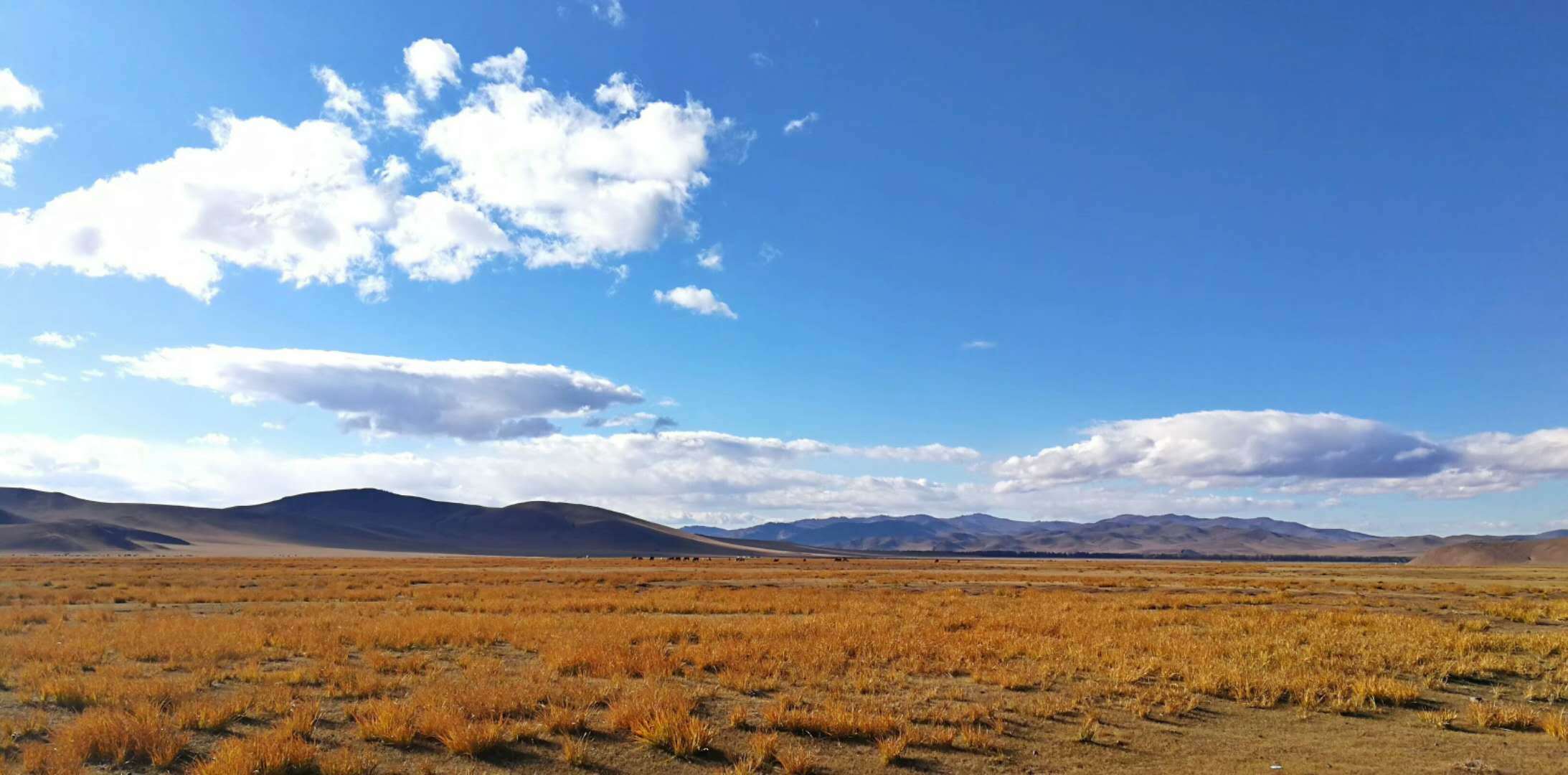 【四时渔猎】铁血征途，草原豪情，蒙古国打猎行程介绍