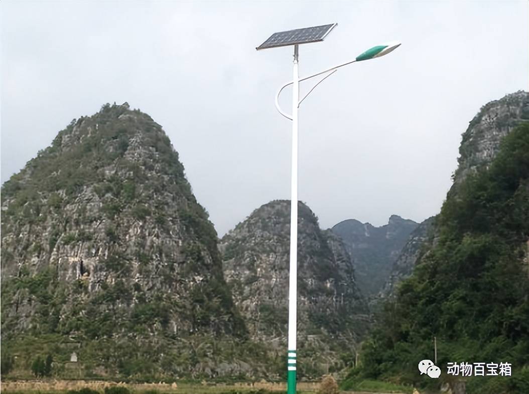 江南体育曾风靡一时的太阳能为何如今销声匿迹？难道是被国家“禁用”了(图3)