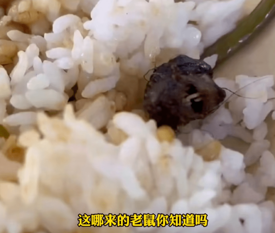 江西一高校食堂饭菜中疑吃出老鼠头，校方：当事人已确认为鸭脖！