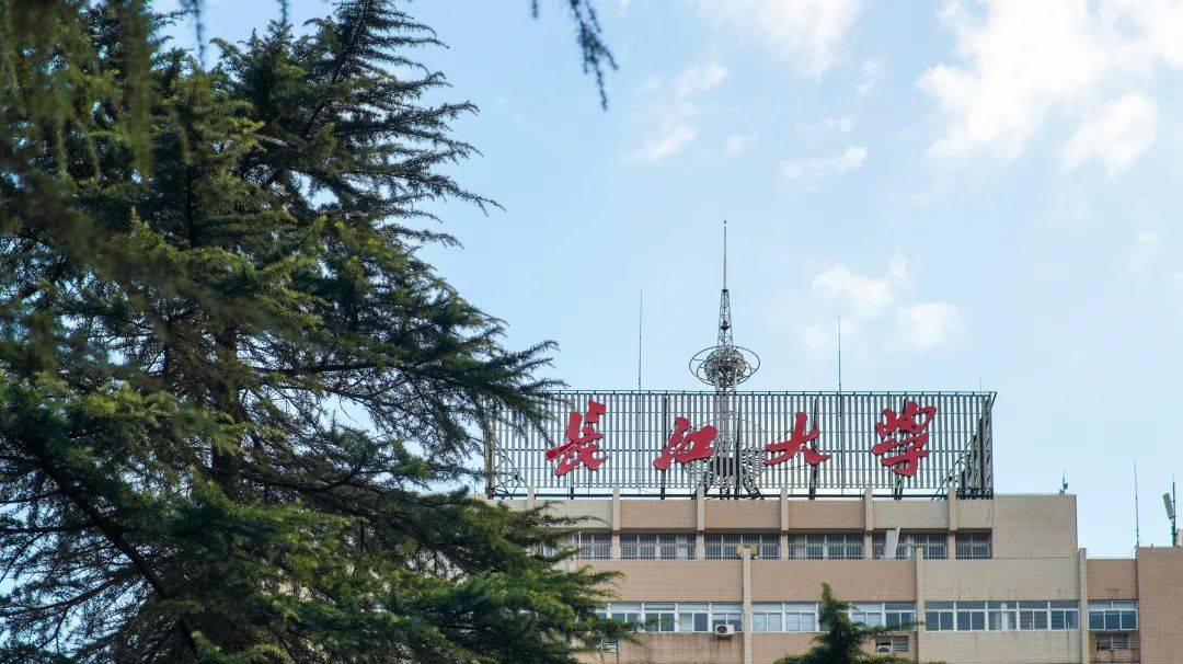 文章配图-12