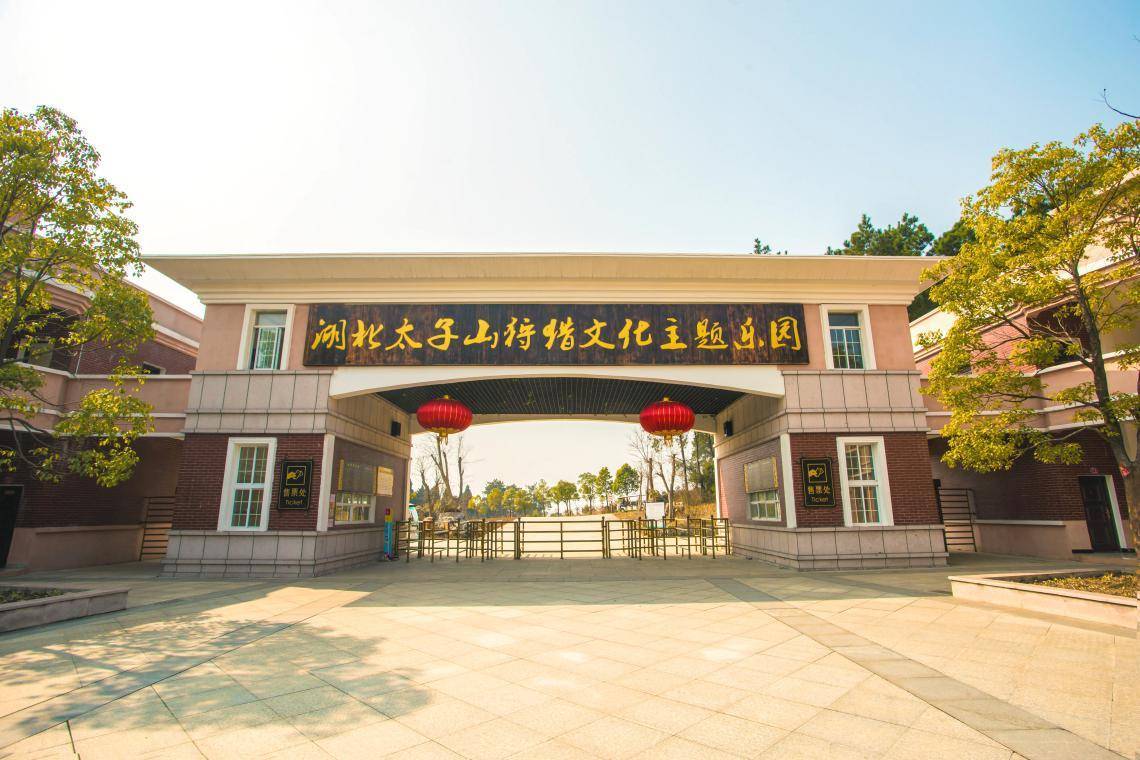 文章配图-24
