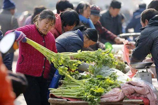 蔡昉：1.8亿中国农民可释放2万亿，户籍改革可以刺激消费。