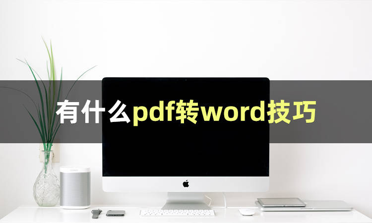 我猜你还不知道有什么pdf转word技巧