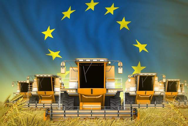 谷物：2032年欧盟将成为最大小麦生产国