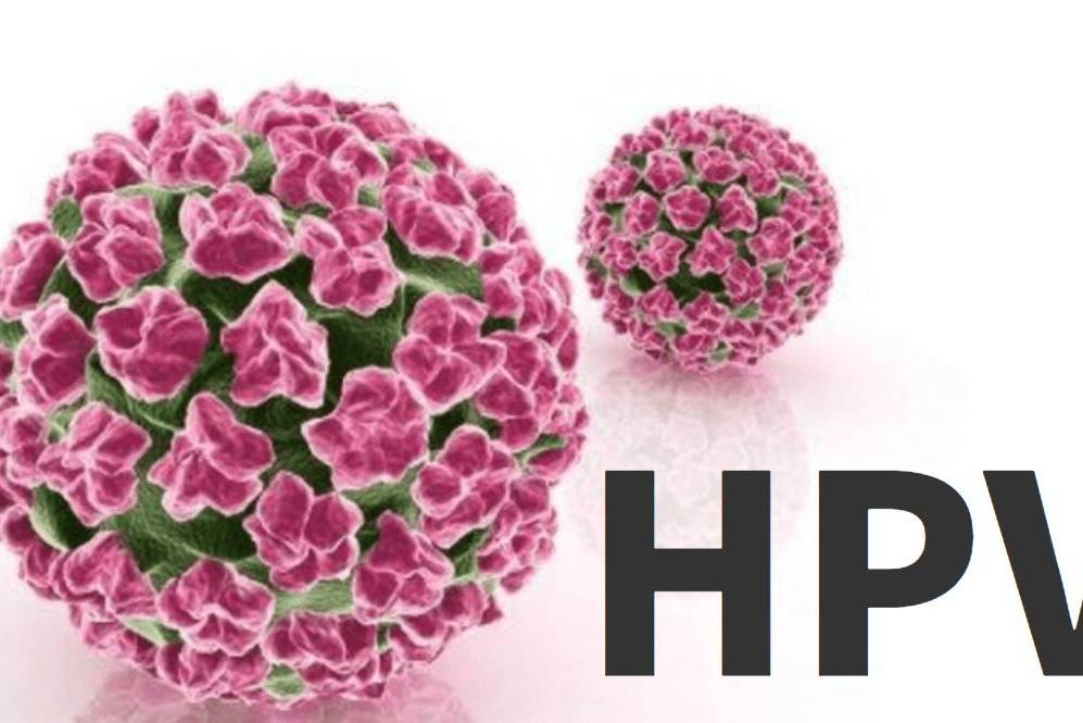 洁身自好为什么会hpv感染？须知三种感染源