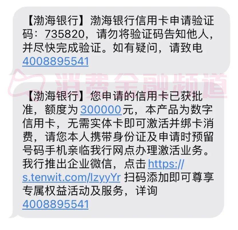 高负债也能秒批30万，渤海银行大放水？
