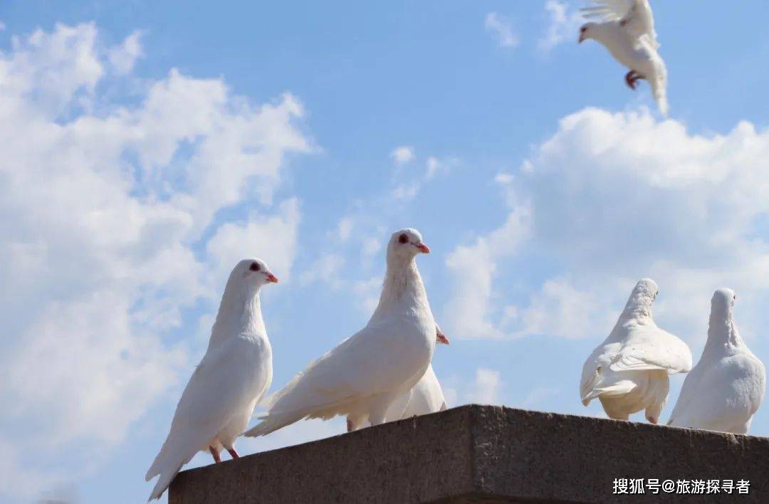 走，去大连！超详细旅游攻略