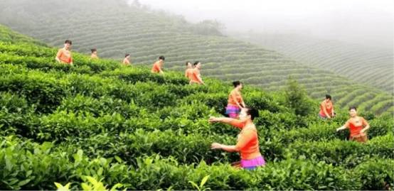 走！今年举办中秋国庆去BB电子 BB电的app蓝山县百叠岭景区山顶帐篷露营赏月狂欢(图3)