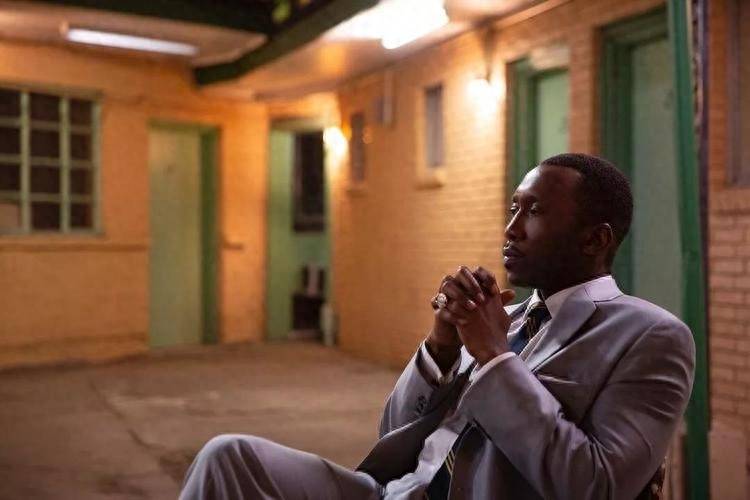 事实证明，《绿皮书》这部电影让整个行业都得到了生活