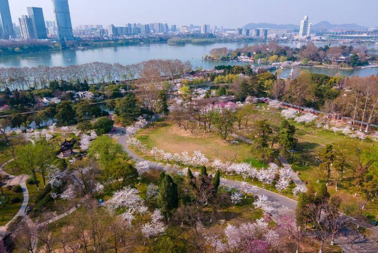 最新南京旅游攻略 南京必去景点游玩攻略  吃好玩好人均不足千元