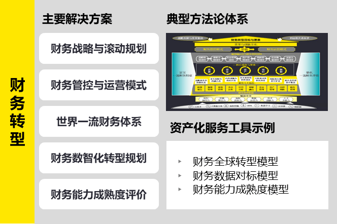 GA黄金甲安永智慧财务转型与管理咨询服务方案(图4)