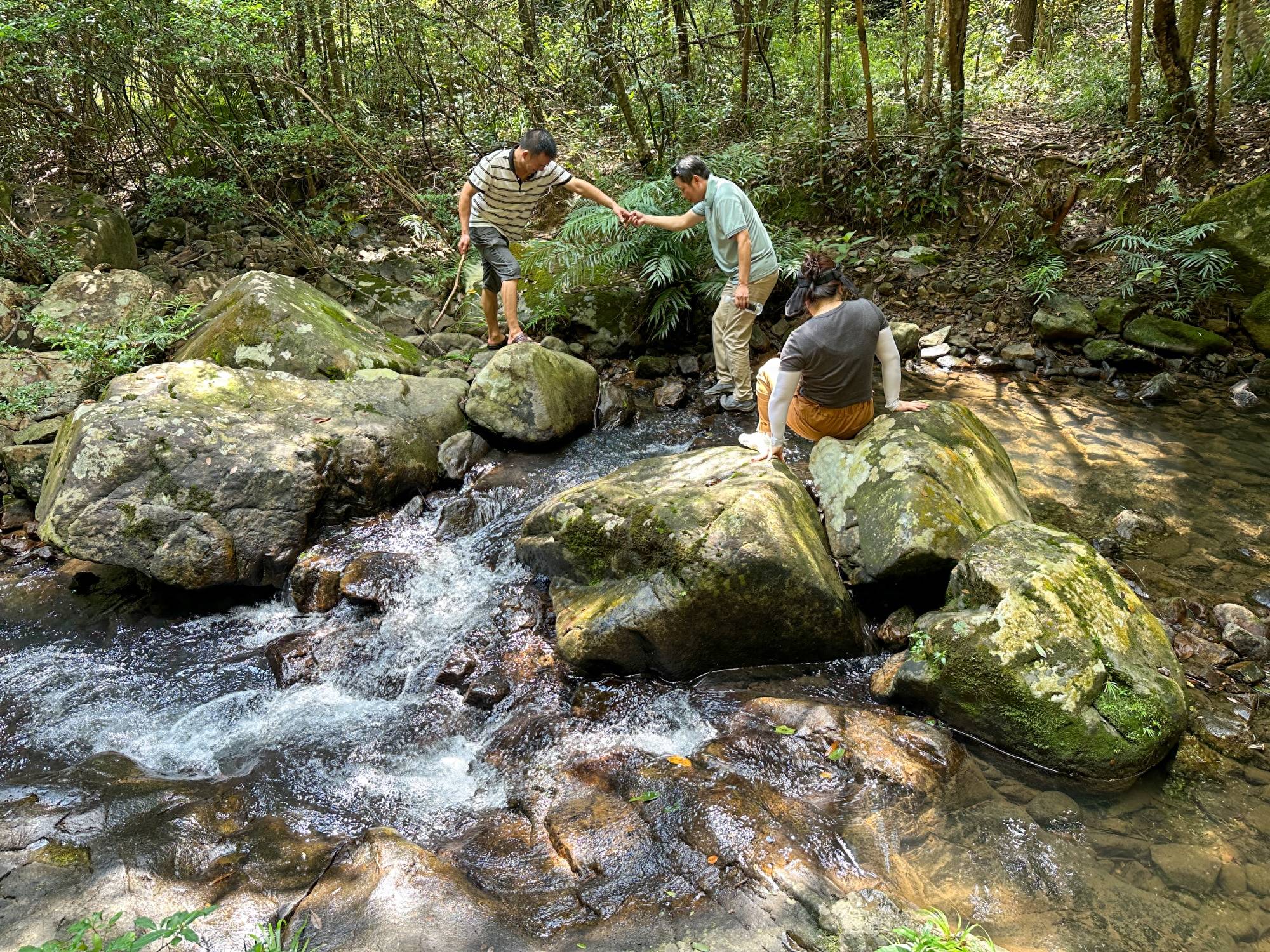 三天两晚，环武夷山国家公园1号风景道自驾游