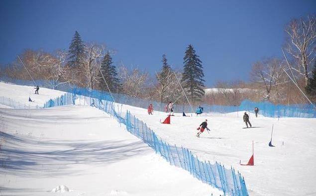 哈尔滨雪乡旅游必去景点-哈尔滨雪乡旅游攻略几月份去好-最佳攻略