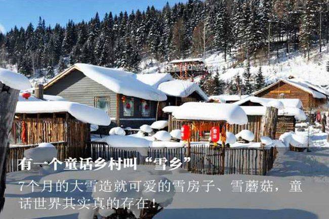 哈尔滨雪乡五日游自由行行程，看壮观雪景，冬季哈尔滨旅游费用