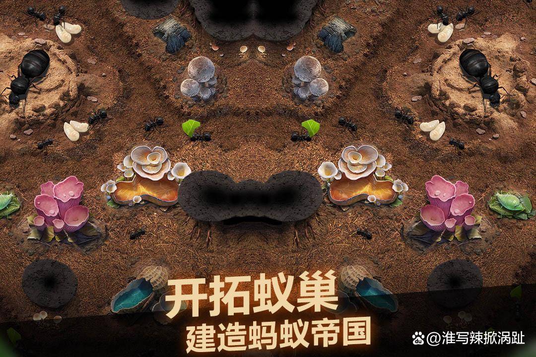 小小蚁国最强阵容推荐 小小蚁国阵容推荐