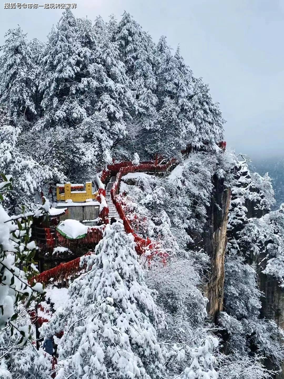 一起去张家界看雪景吧-一份张家界凤凰古城5日游旅游攻略