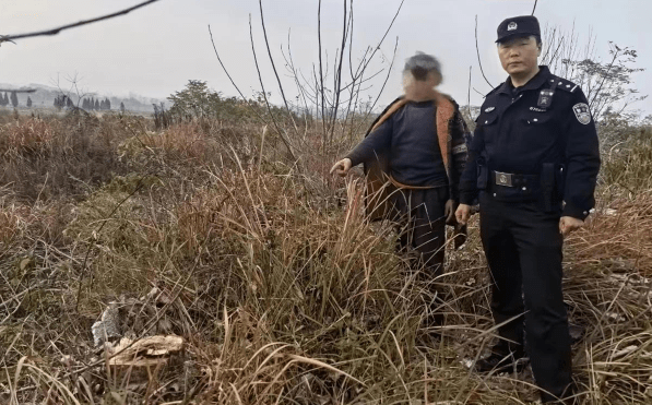 湖北黄冈：男子盗伐他人树木卖钱被拘留