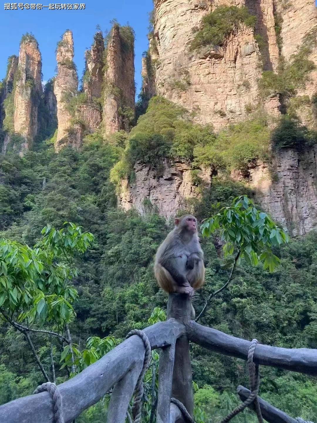 张家界凤凰古城夏日旅游5天自由行攻略-吃住行玩一应俱全