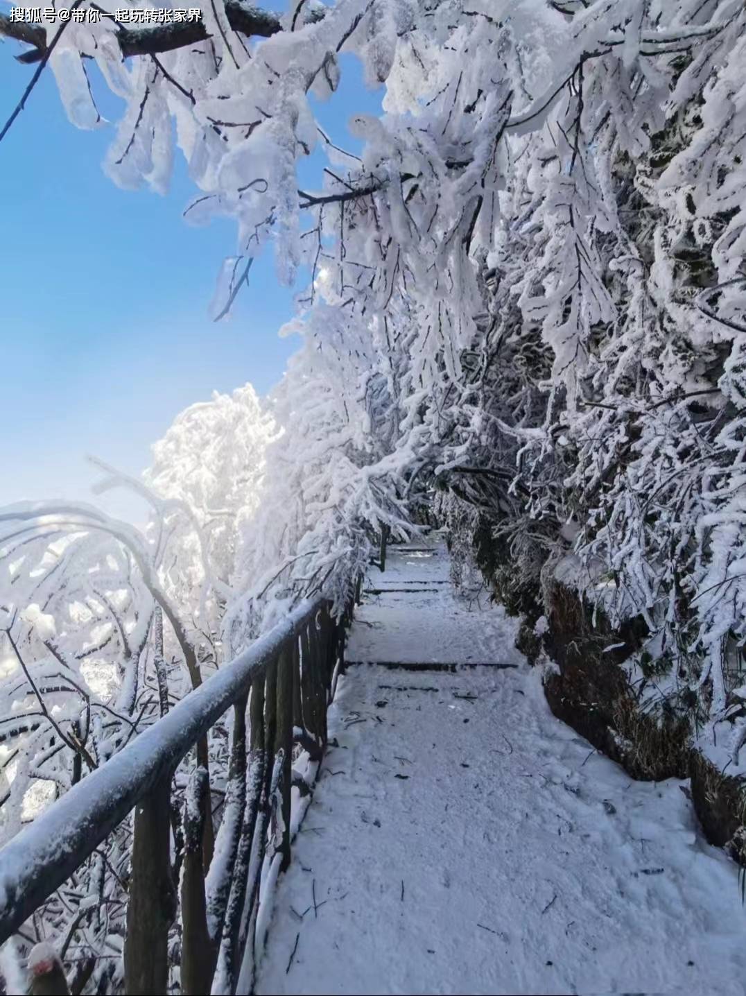 冬季雪景去张家界+凤凰古城玩5天4晚超详细旅游攻略