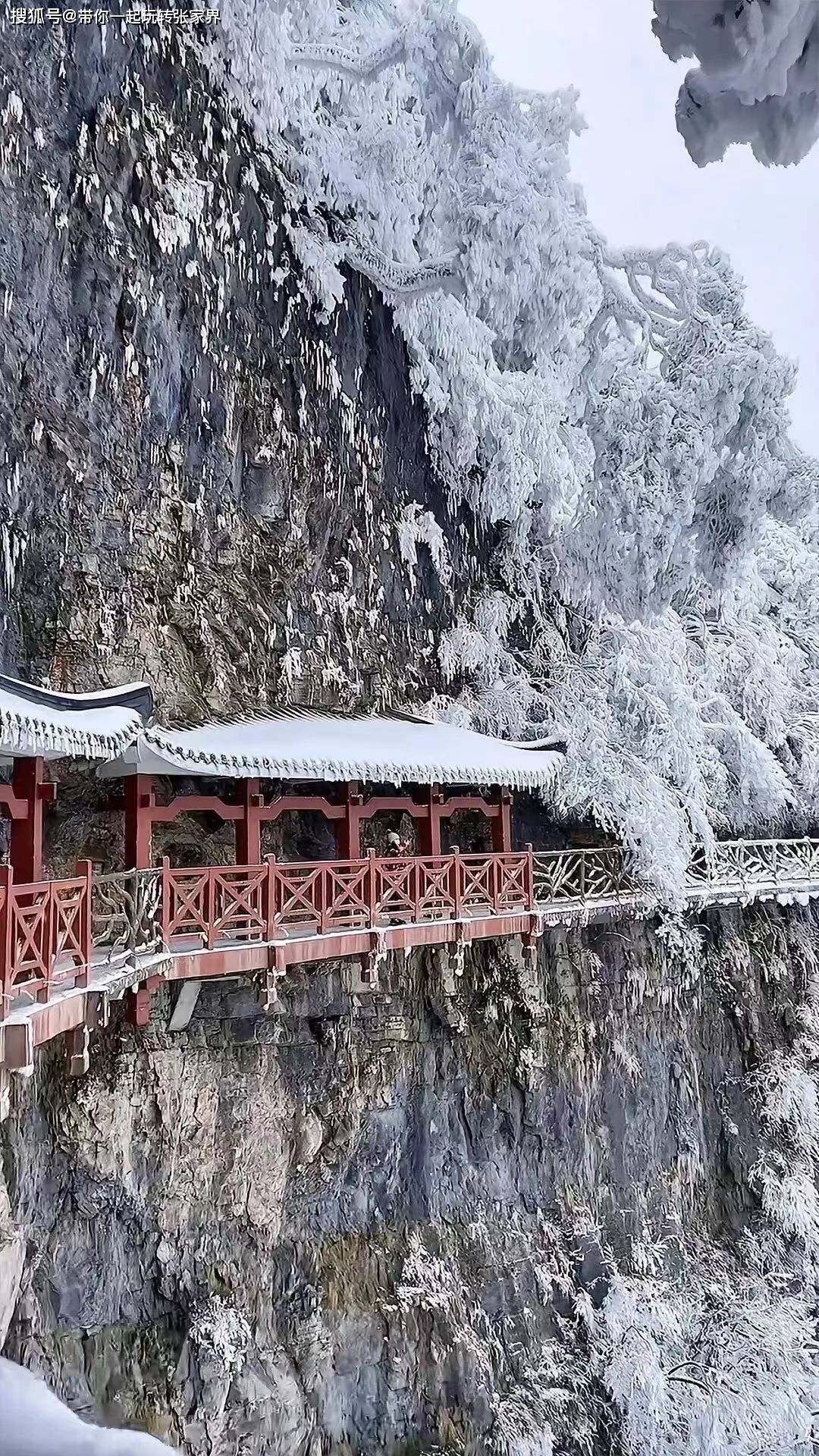 冬季雪景去张家界+凤凰古城玩5天4晚超详细旅游攻略