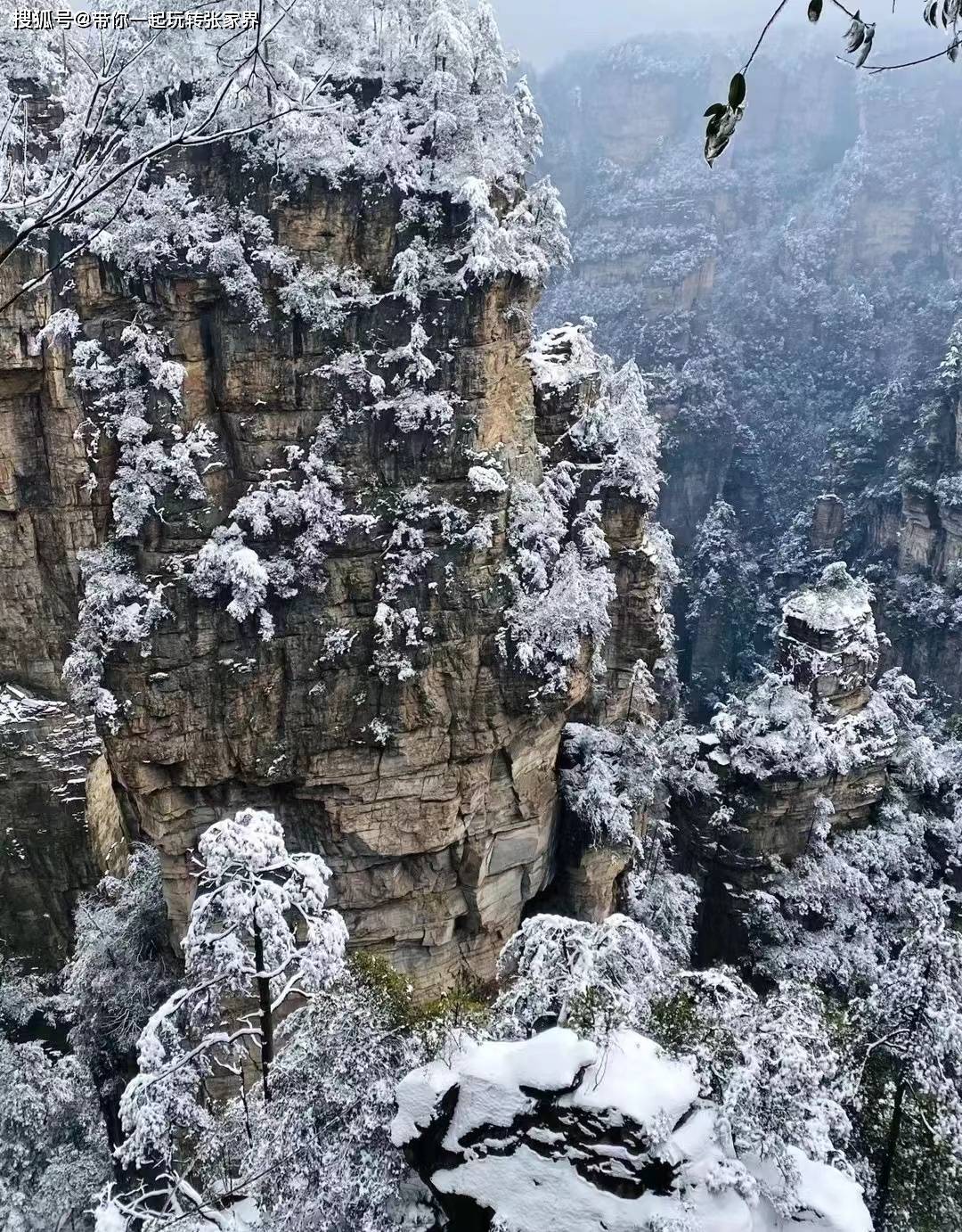 冬季雪景去张家界+凤凰古城玩5天4晚超详细旅游攻略