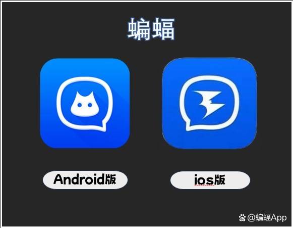 蝙蝠聊天注册需要手机号了?