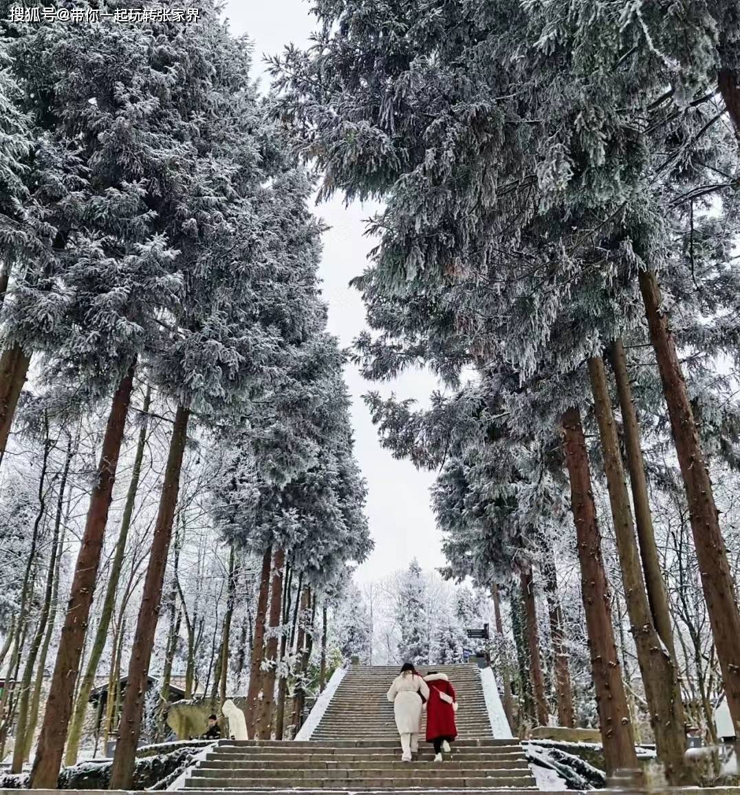 这个冬季看雪景-去张家界凤凰古城游玩5天4晚自由行攻略