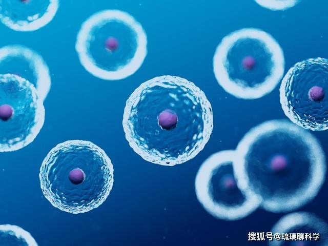 永生得以实现？科学家发现无限分裂细胞，永生的方法有了？