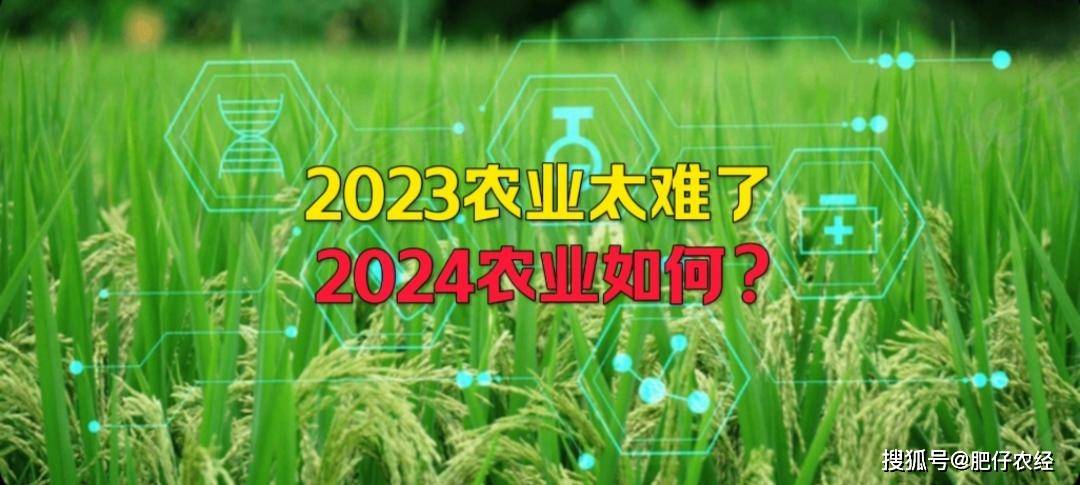 今年农业太难了！2024年农业如何？看完这几点你就明白了(图1)