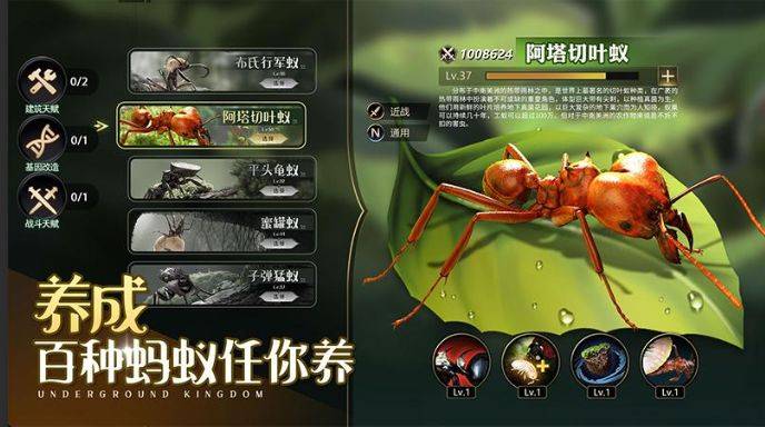 《小小蚁国》无休云手机养成攻略