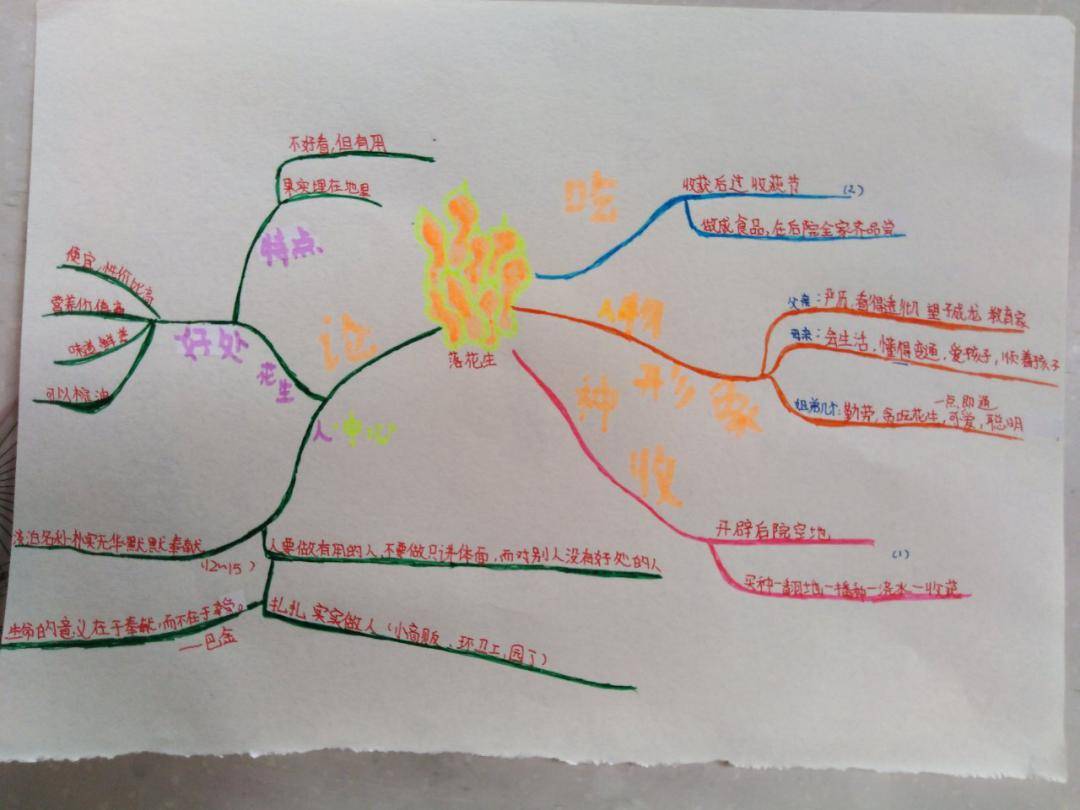作品展示2:  许地山《落花生》思维导图2幅