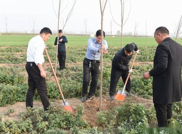 西平gdp_西平县的经济概况(3)