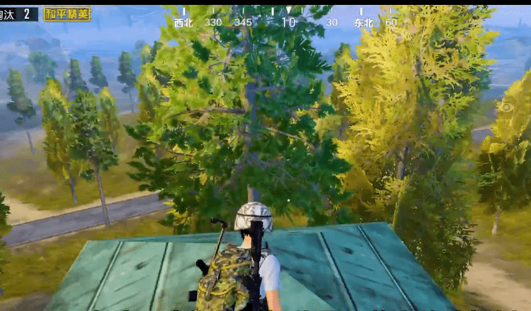 梦之境与避难之树，解析每次梦到向往之地，狼咬我而我会爬树的深层含义