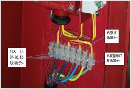 消火栓启泵按钮盒内接线端子排线分别有:fas回路信号线,消防泵启泵
