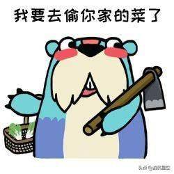 47a8caf251364434a942eb0f90748253.jpeg