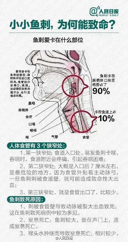 吃鱼住怎么办