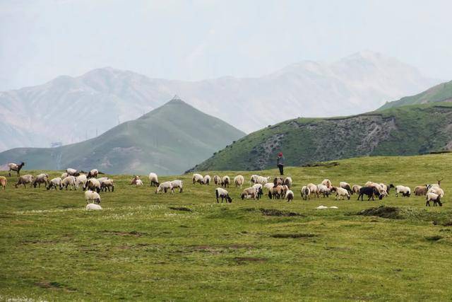 中西方人吃起血来，个个津津有味(图文)