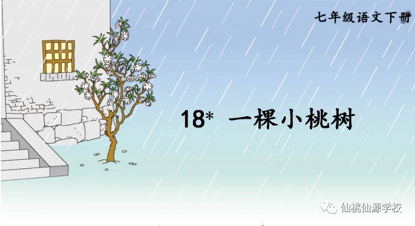 《桃花依旧笑春风》简谱_桃花依旧笑春风剧照(2)